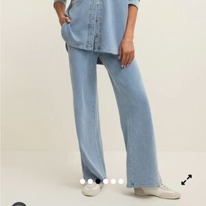 Z Supply Hunter Knit Denim Pant